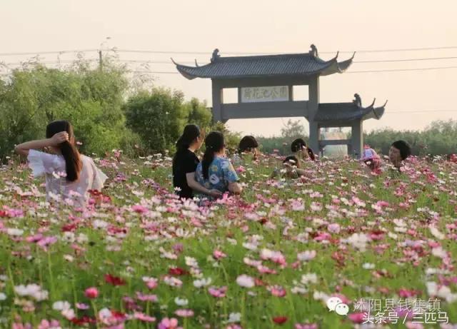 你好！我叫沭阳，这是我的简历，请多多指教！