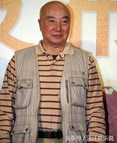 太极宗师中七大高手演员,太极宗师主演们现状