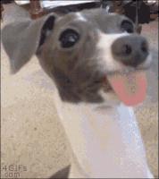 咽口水强迫症,总是想咽口水强迫症