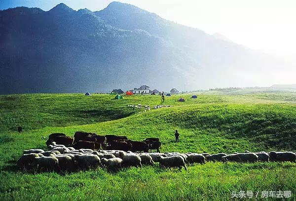 重庆约会地浪漫推荐,重庆打卡浪漫约会地住进风景里