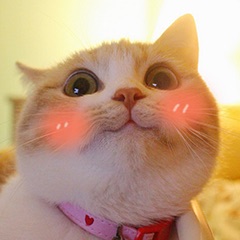 补牙跟根管治疗之间不得不说的故事