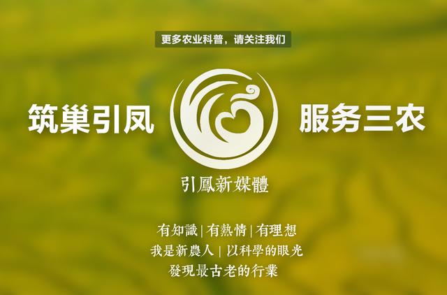 春困秋乏那么夏天犯困算什么呢,春困秋乏夏打盹怎样缓解疲劳