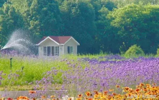 南京是一座很美的城市,南京最让人震撼的城市