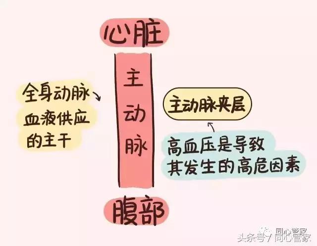 胸痛可能有哪些伴随症状,胸痛肋痛预示着三种疾病