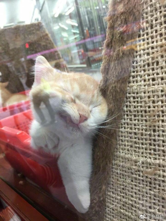 咽口水强迫症,总是想咽口水强迫症