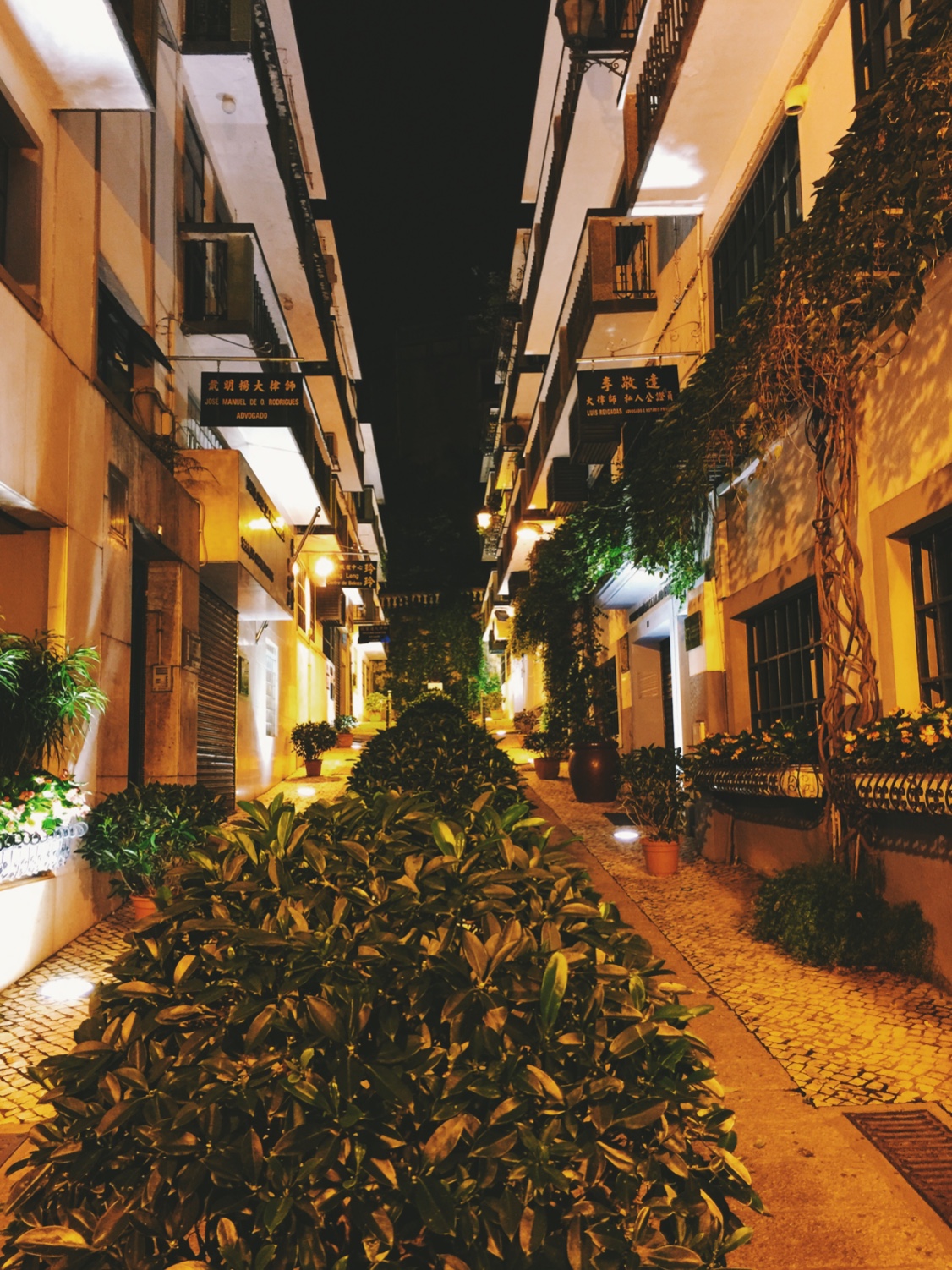 澳门小众亲子游,澳门情调之旅