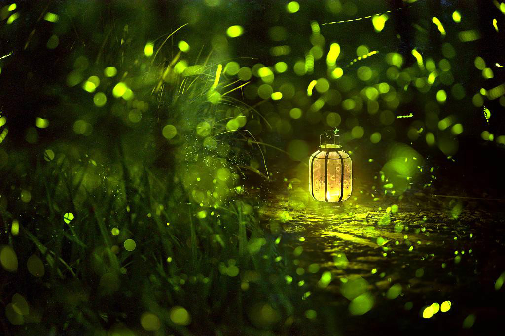 仲夏苦夜短开轩纳微凉的意思,仲夏苦夜短开轩纳微凉的含义