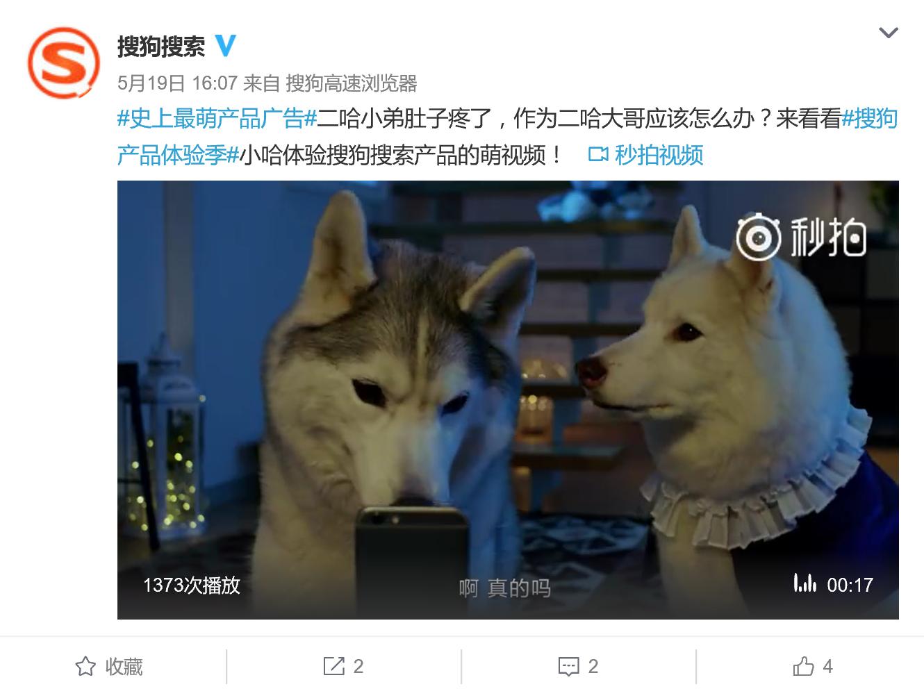 掘金萌宠红利：搜狗拍广告真就请来狗当主角，心都萌化了