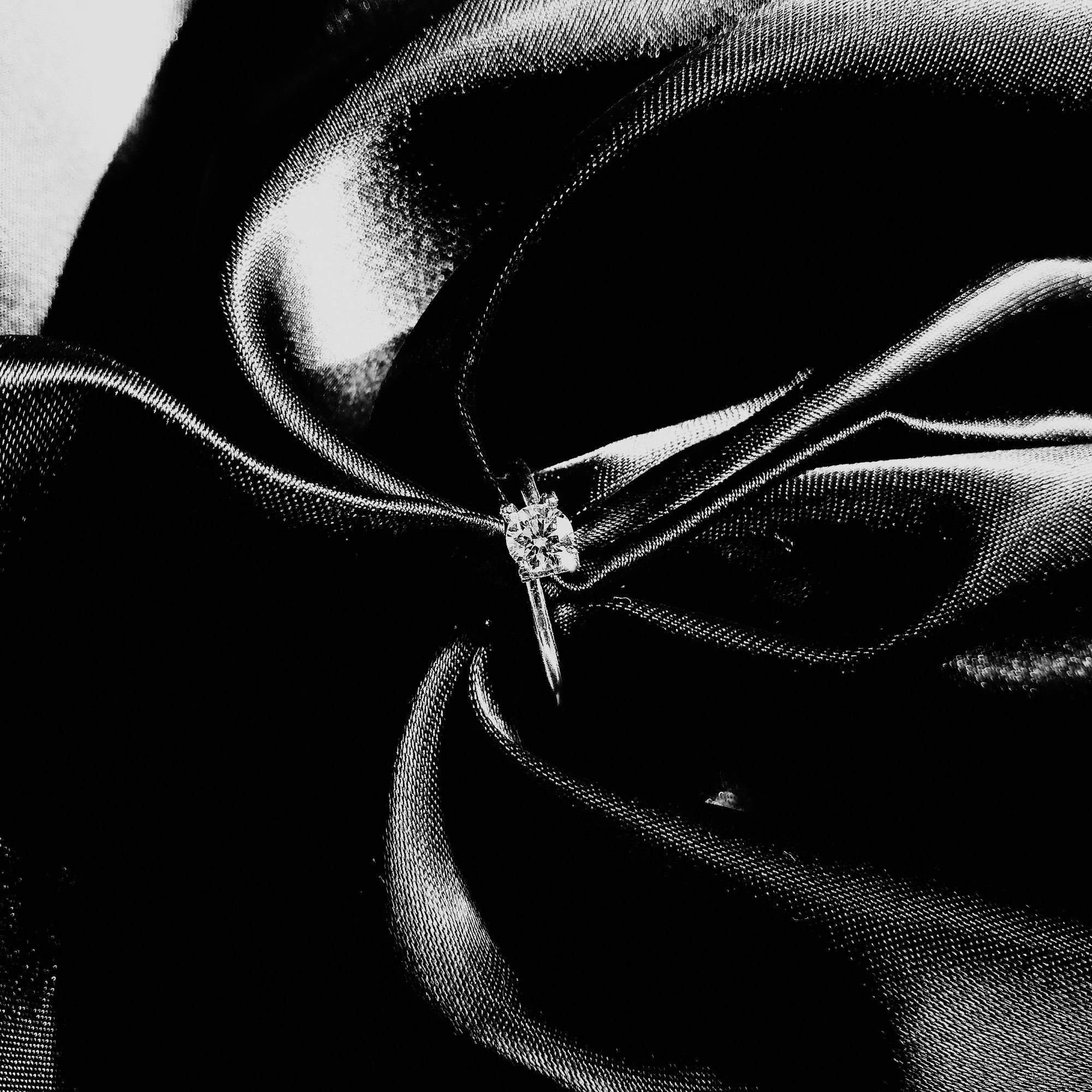 美翻的镜头,坚果pro相机