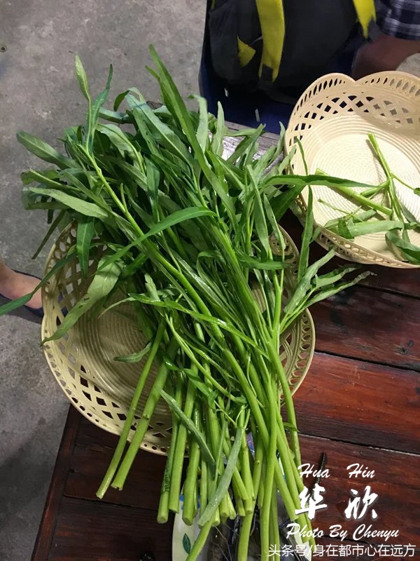 泰国华欣旅游自由行攻略视频大全,泰国皇家度假胜地华欣