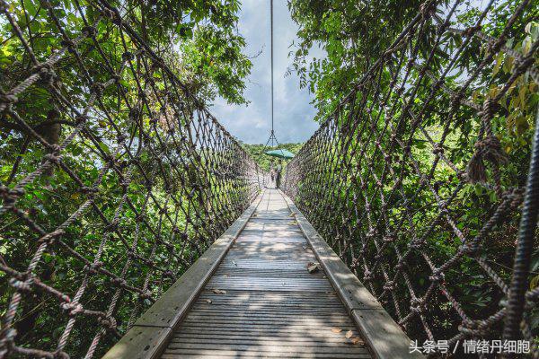 三亚亚龙湾美高梅度假酒店测评,三亚亚龙湾美高梅度假酒店电话