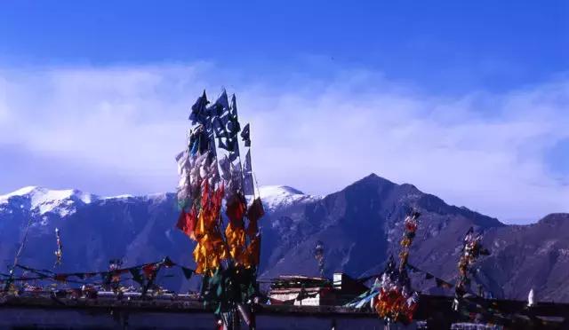 今年倒数第二天就放假了怎么回事,再坚持一天就放假了