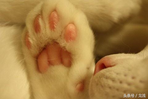 拥有一双好脚是什么样的体验,女生有一双好看的手是什么体验