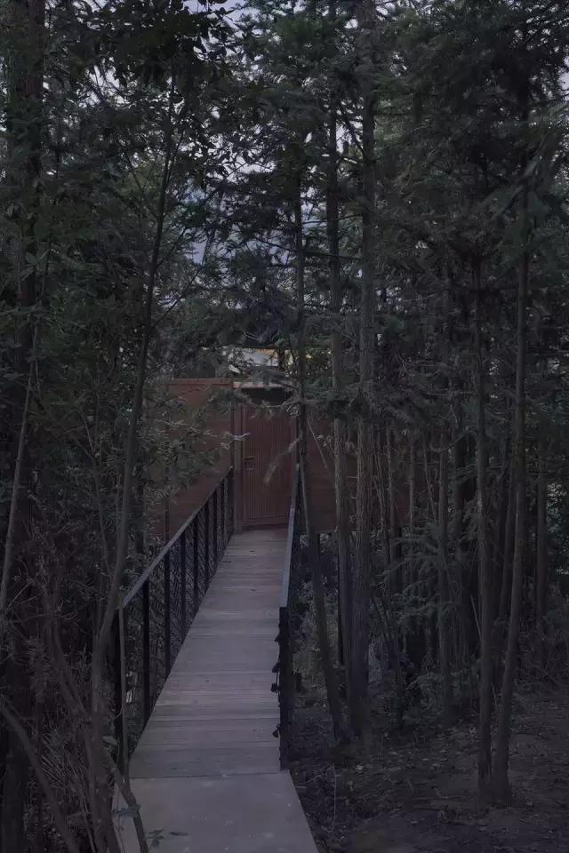 他们把3栋绝美树屋藏进了世外桃源里，用设计让你回归自然