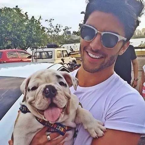 什么人不适合养英牛,都说养宠物的人情商高温柔体贴