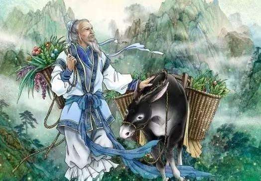 涓轰粈涔堜腑鍖昏绉颁负鏉忔灄,涓尰涓轰粈涔堣绉颁负鏉忔灄