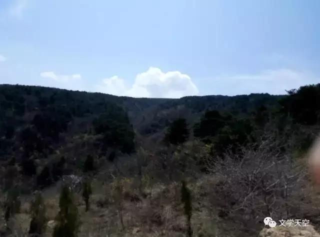 陈玲玲创作的原声,陈玲玲创作