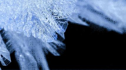 为了复活50年前的“冷冻人”,这个维修工背负了半世纪的骂名