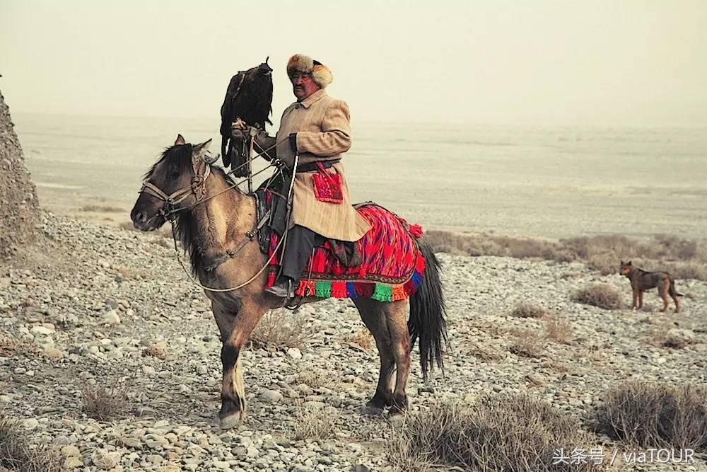 途迹｜克尔克孜猎鹰的故乡