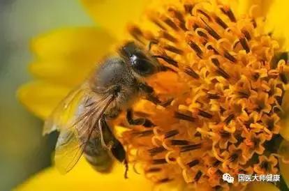 这种食物胜过人参,23种食物是天然良药