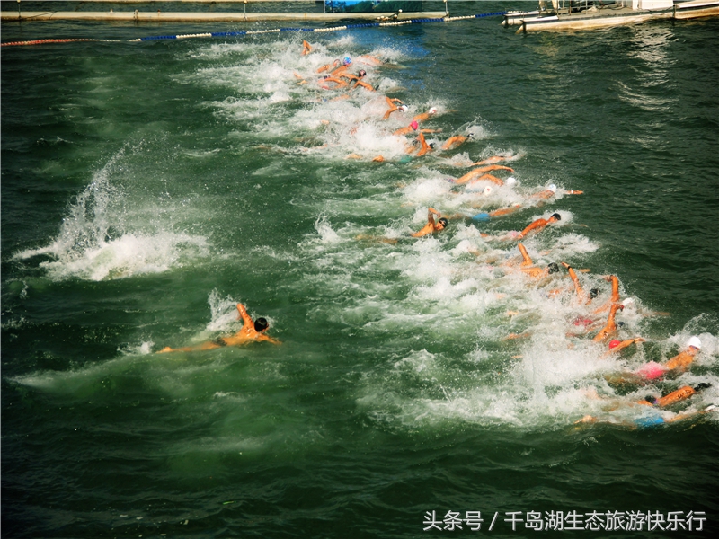 千岛湖人真有福!免费享受573km²的天然绿色游泳场(原创)