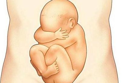 遇到这种胎动频繁要注意可能是胎儿出事了