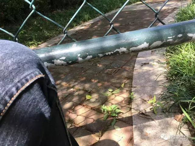 板桥小区怎么样啊,板桥比较好的新小区