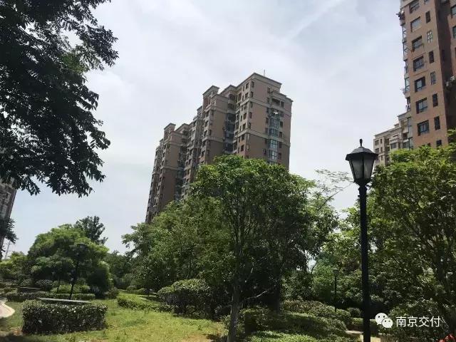 板桥小区怎么样啊,板桥比较好的新小区