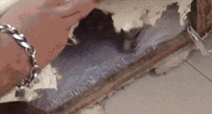 咽口水强迫症,总是想咽口水强迫症