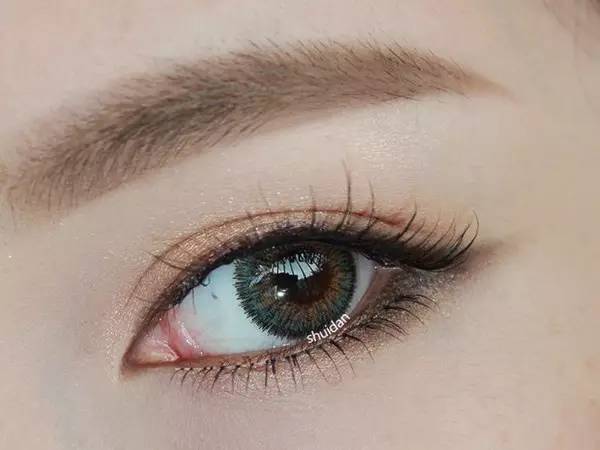 眼影种草玛丽黛佳,平价新手百搭眼影