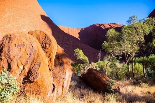 淘宝禁售app,淘宝禁售类目怎么规避