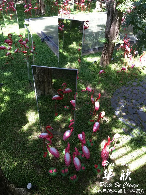 泰国华欣旅游自由行攻略视频大全,泰国皇家度假胜地华欣