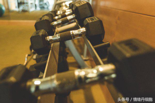 三亚亚龙湾美高梅度假酒店测评,三亚亚龙湾美高梅度假酒店电话