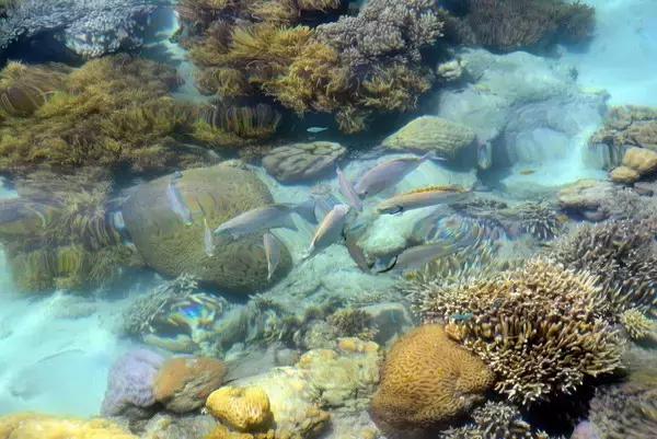 今年倒数第二天就放假了怎么回事,再坚持一天就放假了