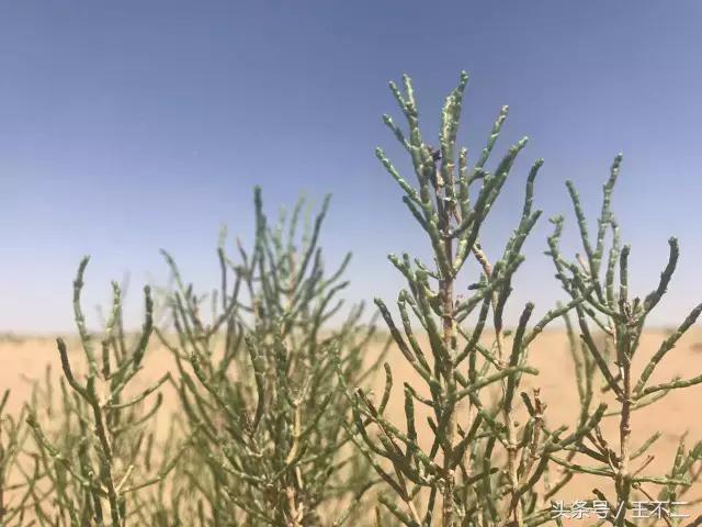 支付宝你神经病呀,再这样下去友谊的小船说翻就翻啦