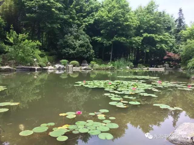 安徽铜陵永泉农庄在哪里,永泉生态农庄