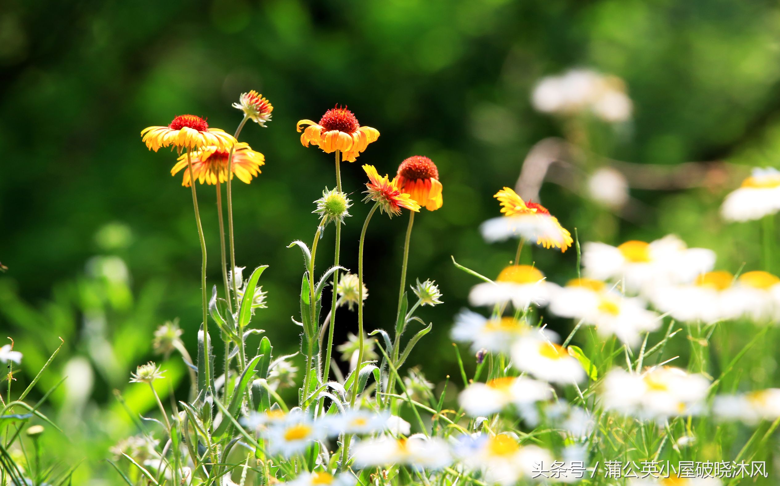 孩子说妈妈什么时候才能去上学,孩子说我要去上学时怎么回答