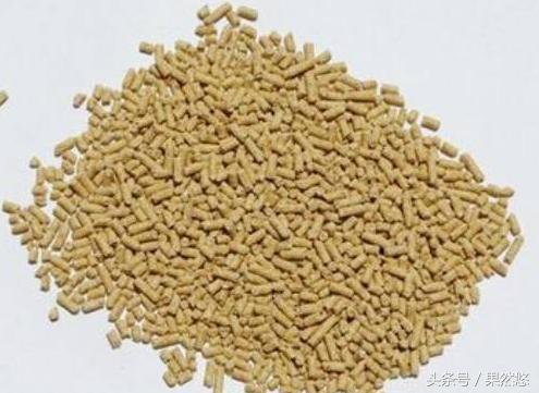 涓撴不鐚毊鑲ょ梾鐗规晥鍦熸柟,鐚毊鑲ょ孩娑︾殑鑽墿