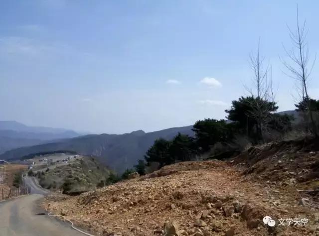 陈玲玲创作的原声,陈玲玲创作