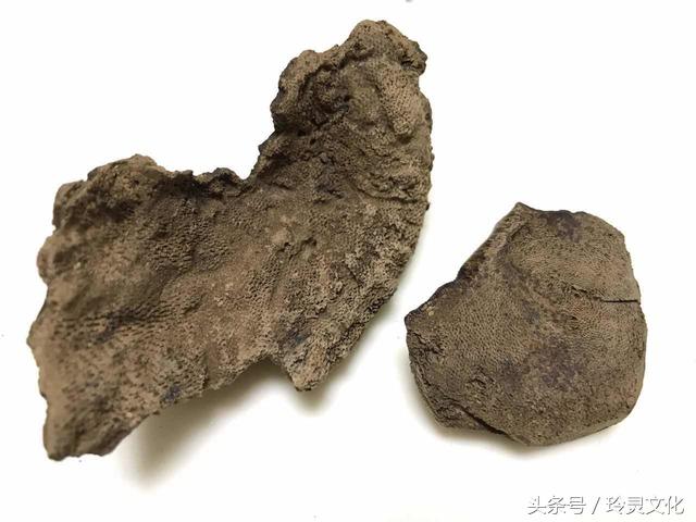 假的越南黑色土沉香,顶级沉香精品图片大全