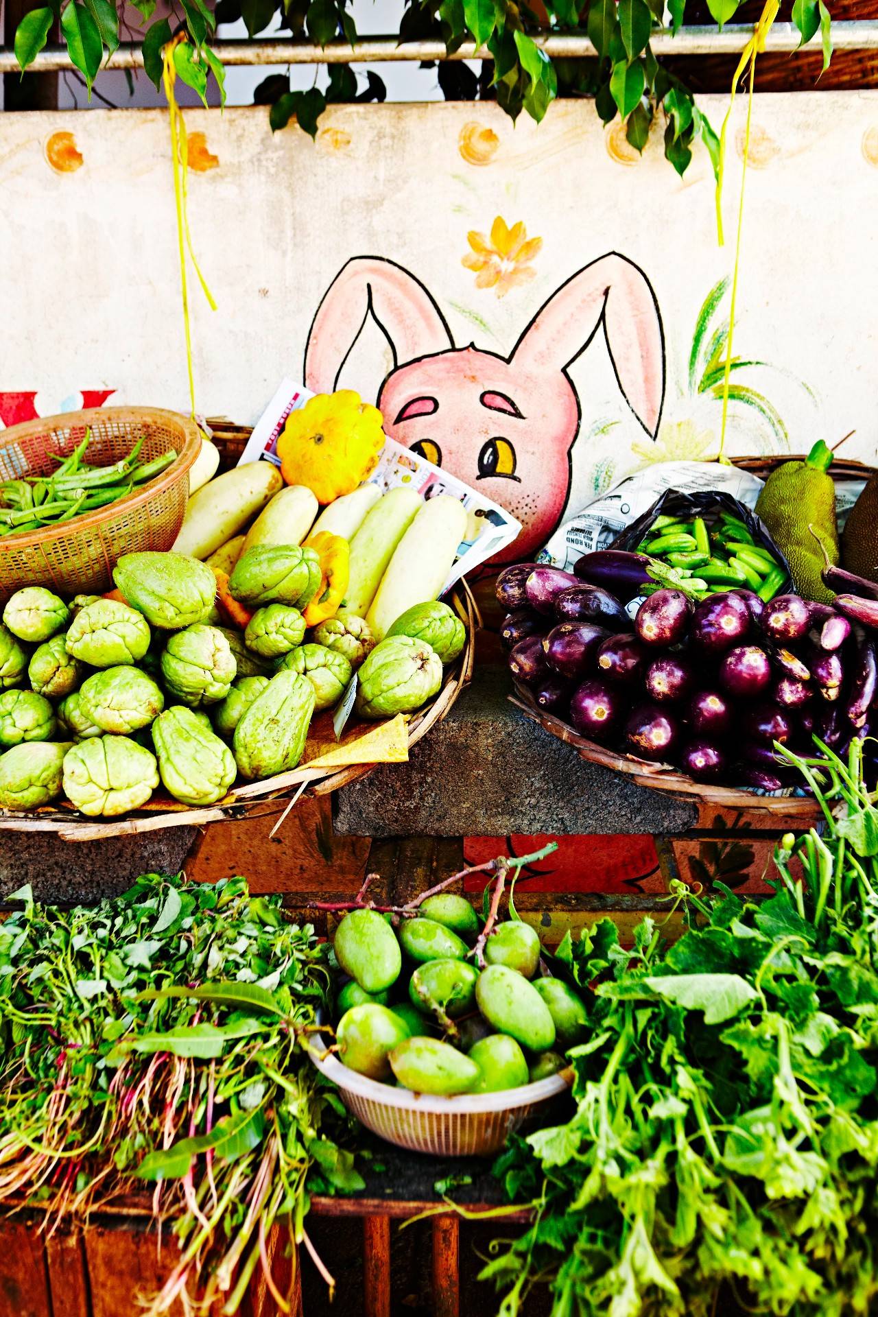 到了毛里求斯要怎么玩,毛里求斯旅游怎么去最划算