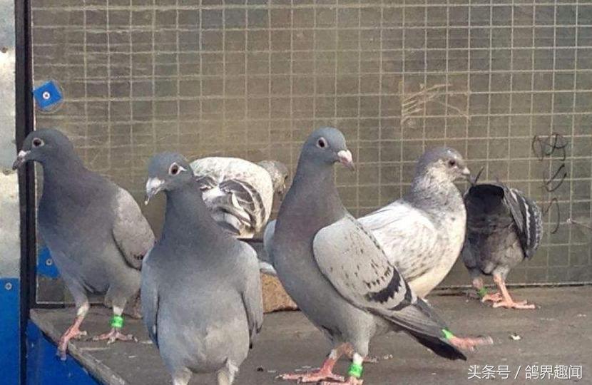 涨知识和方法,涨知识的秘诀