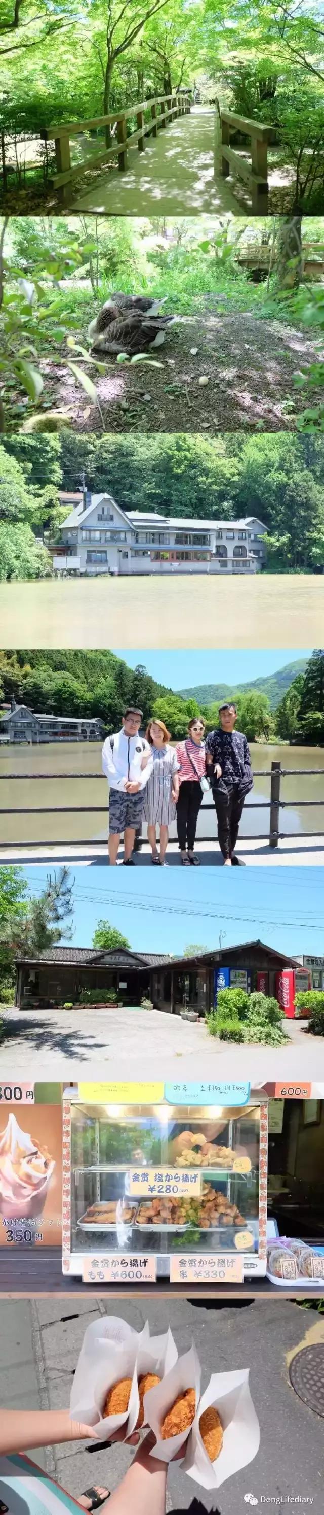 去日本北九州好吗,北九州看樱花