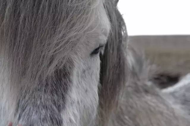 新手入门摄影买徕卡什么相机,徕卡m相机入门教程和拍照技巧