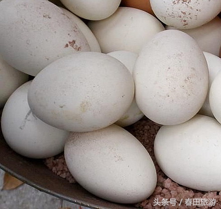 艳阳农庄休闲农业,南京金牛湖艳阳农庄度假村酒店