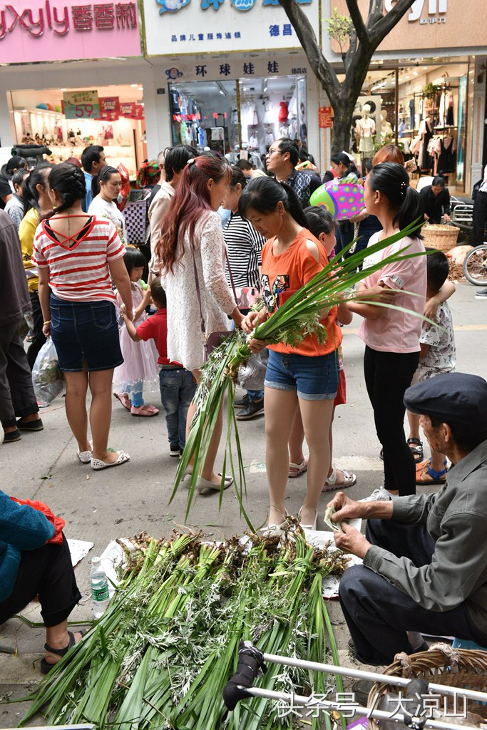 6月18日德昌端午节火爆场面将至,众多中草药先让你辨认,药膳宴等你品尝