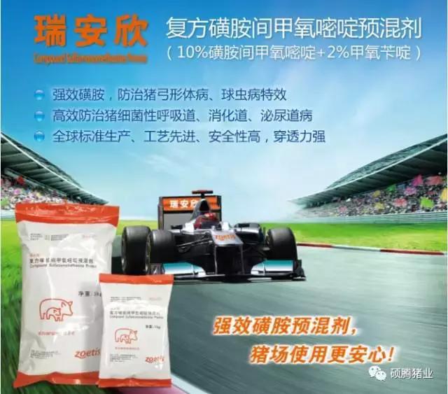 “瑞多康”+“瑞安欣”双剑合一:猪场扫除衣原体和弓形体的法宝