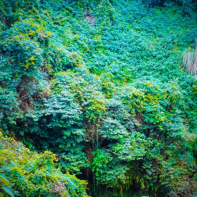 北纬18度三亚你不愿意错过的风景