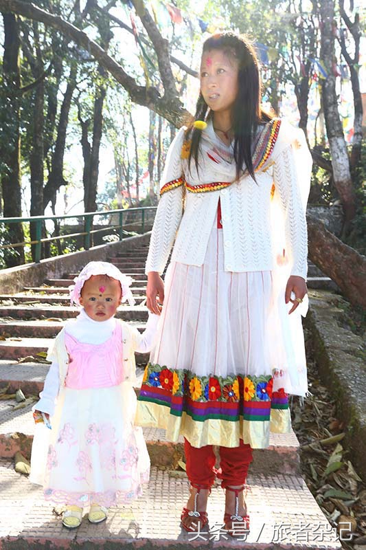 印度大吉岭红茶有几个品牌,印度大吉岭红茶品种