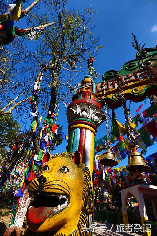 印度大吉岭红茶有几个品牌,印度大吉岭红茶品种